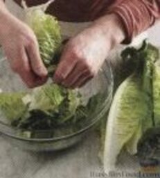 Салат "Цезарь" с анчоусами: 3. Порвать салатные листья на небольшие кусочки (должно получиться по объему примерно 10 стаканов).