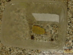 Соленая красная рыба (голец): На дно контейнера кладем 3 горошины перца, половинку лаврового листа, пару долек лука. И добавляем чайную ложку растительного масла.