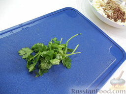 Творожный салат с зеленью и абрикосами: Небольшой пучок кинзы помойте, положите на дощечку и острым ножом порежьте.