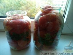 Резаные помидоры, маринованные с луком на зиму: Затем выложить лук колечками и зелень.   Масло растительное прокалить в сковороде. Влить в банку.   Выложить помидоры на лук, срезом вниз.