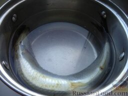 Сельдь малосольная: В воду добавить соль, сахар, лавровый лист и перец. Проварить рассол 5-10 минут. Охладить.   Выложить селедку в рассол. Накрыть крышкой, поставить в холодильник на 3 суток.