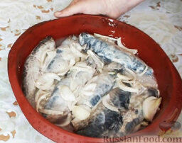 Скумбрия, запеченная в духовке: Выложить рыбу с луком в форму, разровнять. Влить 50 мл воды.  Разогреть духовку. Запекать рыбу примерно 30 минут при температуре 180-200 градусов.