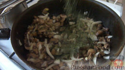 Кроллы домашние (рулеты из лаваша): 1. Обжарить грибы с луком, попутно приправляя 2-мя щепотками сушеной петрушки и чеснока, а также посолить и поперчить по вкусу.