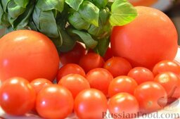Томатный соус по-итальянски: Подготовить помидоры и базилик для приготовления итальянского томатного соуса.