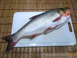 Жареная рыба: Как приготовить жареную рыбу:    Тушку рыбы скребком очистите от шелухи, выпотрошите все внутренности, удалите черную пленку и помойте.