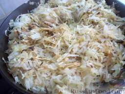 Тушеная капуста с яблоками: Сковороду с растительным рафинированным маслом нагрейте и отправьте жариться капусту.