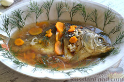 Заливной зеркальный карп: Готовую рыбу перекладываем в тарелку и заливаем получившимся бульоном-желе. Украшаем блюдо укропом и оставляем рыбу в холодном месте до полного остывания.