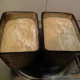 Домашний хлеб на сухих дрожжах: Оставить подниматься. Когда поднимется, аккуратно, не тряся, поставить в духовку, разогретую до 200 градусов, на 40 минут.