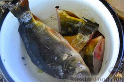Халасле - венгерский рыбный суп: Карпа очищаем от чешуи, внутренностей, глазных яблок и удаляем жабры. Нарезаем крупно, кидаем к овощам.