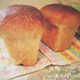 Домашний хлеб на пресованных дрожжах: Как тесто поднимется в третий раз, аккуратно поставить формы с тестом в духовку, разогретую до 200 градусов, на час.