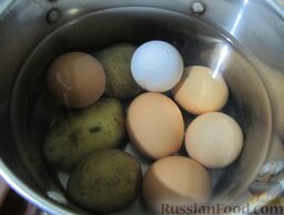 Салат из яиц с грибами: Яйца и картофель положить в кастрюлю, залить холодной водой, поставить на огонь, довести до кипения. Варить на небольшом огне до мягкости картофеля.
