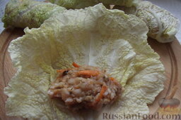 Голубцы из савойской капусты (с куриным фаршем и грибами): Посередине капустного листа положите фарш и заверните конвертиком.