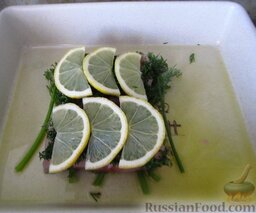 Рыба, запеченная под укропной "шапкой": Выложите лимон на укропный слой.