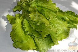 Салат "Цезарь" с курицей: Листья салата вымываем и обсушиваем. Часть листьев выкладываем в блюдо.