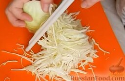 Жареная капуста с шампиньонами: Как приготовить жареную капусту с шампиньонами:    Нашинковать капусту на специальной удобной терке или ножом.