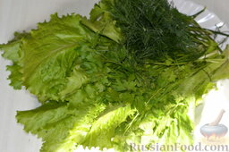 Салат "Русский" с сельдью: Для оформления салата нам также понадобится зелень. Промываем ее под холодной водой, обсушиваем.