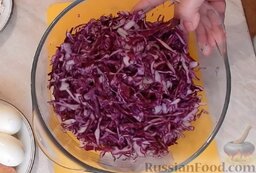 Салат из краснокочанной капусты: Поместить тонко нарезанную краснокочанную капусту в глубокую емкость.