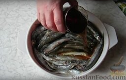 Мойва, запеченная с чаем: Посыпаем рыбу специями, солим и заливаем крепким чаем.