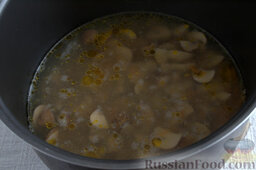Сырный суп с мятой (в мультиварке): Наливаем рекомендованное количество воды, включаем режим «Тушение», ждем 30 минут.