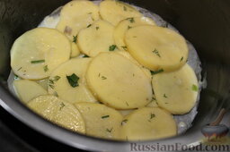 Картофельная запеканка с фаршем (в мультиварке): Чашу мультиварки смазать маслом и выложить слоями картофель и говяжий фарш.   Сперва выложить слой картофеля.