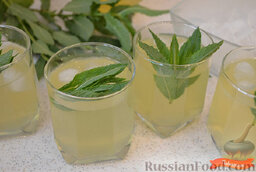 Освежающий лимонад: Охладить лимонад, разлить по стаканам, добавить лед. Украсить освежающий лимонад листиками мяты.   Приятного аппетита!