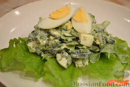 Свежий салат с плавленым сырком: Выложить салат с плавленым сырком, огурцами, яйцами и зеленью на тарелку и подавать к столу.     Приятного вам аппетита!