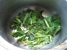 Малосольные огурцы (бабушкин рецепт): Вымыть и нарезать зелень. Пару листиков хрена отложить.