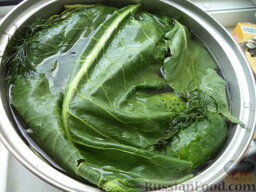 Малосольные огурцы (бабушкин рецепт): Огурчики залить рассолом. Прикрыть листьями хрена.