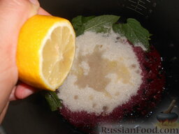 Лимонад с чёрной смородиной и мятой: Выдавить сок лимона и добавить к остальным ингредиентам.
