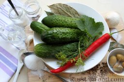 Острый маринованный салат из огурцов: Подготовим необходимые продукты для заготовки огурцов.