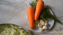 Кабачки по-корейски на зиму: Морковь и чеснок почистить, затем помыть.