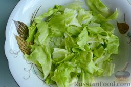 Зеленый греческий салат: Салат айсберг помойте, высушите, листья порвите руками в глубокий салатник.