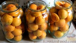 Компот из целых абрикосов (на зиму): Как заготовить компот из целых абрикосов на зиму:    Абрикосы помыть и поместить в стерилизованные банки.