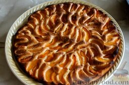 Пирог с абрикосами: Слегка остудить пирог с абрикосами и извлечь из формы.