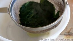 Зеленые тонкие блины со шпинатом: Как приготовить тонкие блины со шпинатом:    Шпинат помыть, обрезать грубые стебли. Вскипятить воду. Шпинат отварить в течение 5 минут в кипящей воде.