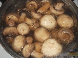 Соус грибной со сметаной: Как приготовить грибной соус на сметане:    Вскипятить воду, добавить соль, положить в кипящую воду грибы, накрыть крышкой, варить при слабом кипении 20 минут.