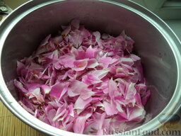 Сироп из лепестков роз: Затем помещают в эмалированный таз или кастрюлю, заливают водой.