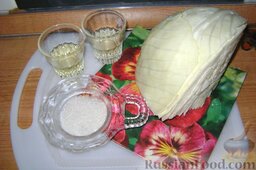 Салат из свежей капусты с растительным маслом и уксусом: Капуста, растительное, масло, уксус, сахар и немного зелени для украшения - вот и все, что нужно для этого простого, но полезного салата.