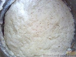 Тесто на дрожжах для пирогов и пирожков: Замесить тесто из теплого молока или воды вместе с растворенными дрожжами и половиной муки, поставить в теплое место на 1 час.