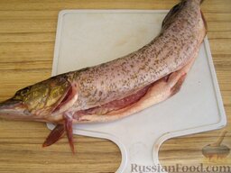 Щука, запеченная в сметане: Как запечь щуку в сметане:    Рыбу очистить, выпотрошить, промыть.