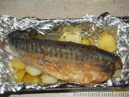 Скумбрия, запеченная с молодым картофелем: Поверх него уложить подготовленную рыбу.