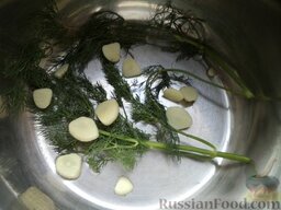 Малосольные огурцы-I: Укроп моют. На дно посуды выкладывают часть зелени и чеснока.