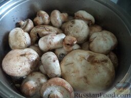 Грибная солянка: Грибы помыть, выложить в кастрюлю. Вскипятить чайник. Кипятком залить грибы. Отварить грибы на среднем огне около 10 минут.