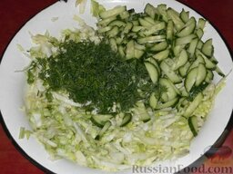 Салат из свежей капусты с огурцами: Смешать капусту с огурцами и укропом.