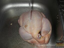 Курица, запеченная целиком с медом и горчицей: Как приготовить курицу, запеченную в меде и горчице:    Целую курицу хорошо вымыть под струей холодной воды.