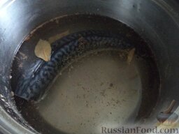 Скумбрия  (и ставрида) соленая: Рыбу помыть. Залить рассолом подготовленную, разделанную рыбу и выдержать 3 дня в холодильнике.