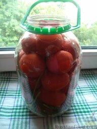 Квашеные помидоры: Банки хорошо промыть с содой.  Положить на дно по 3 зонтика укропа, по 5-6 зубков чеснока, зелень петрушки. Наполнить подготовленные 3-литровые банки помидорами.
